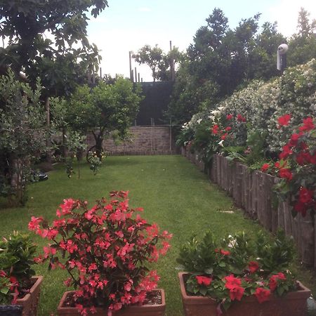 Giardino Sorrentino Bed & Breakfast Exterior photo